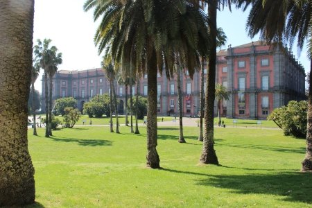 Museo di Capodimonte