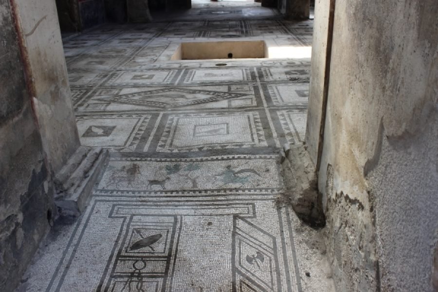 Pompei da Napoli. Scavi archeologici con guida e biglietto salta fila | Privato